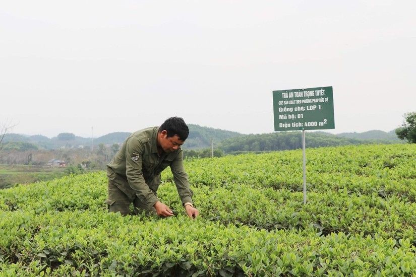 Hướng dẫn cơ chế quản lý tài chính của Quỹ Hỗ trợ nông dân